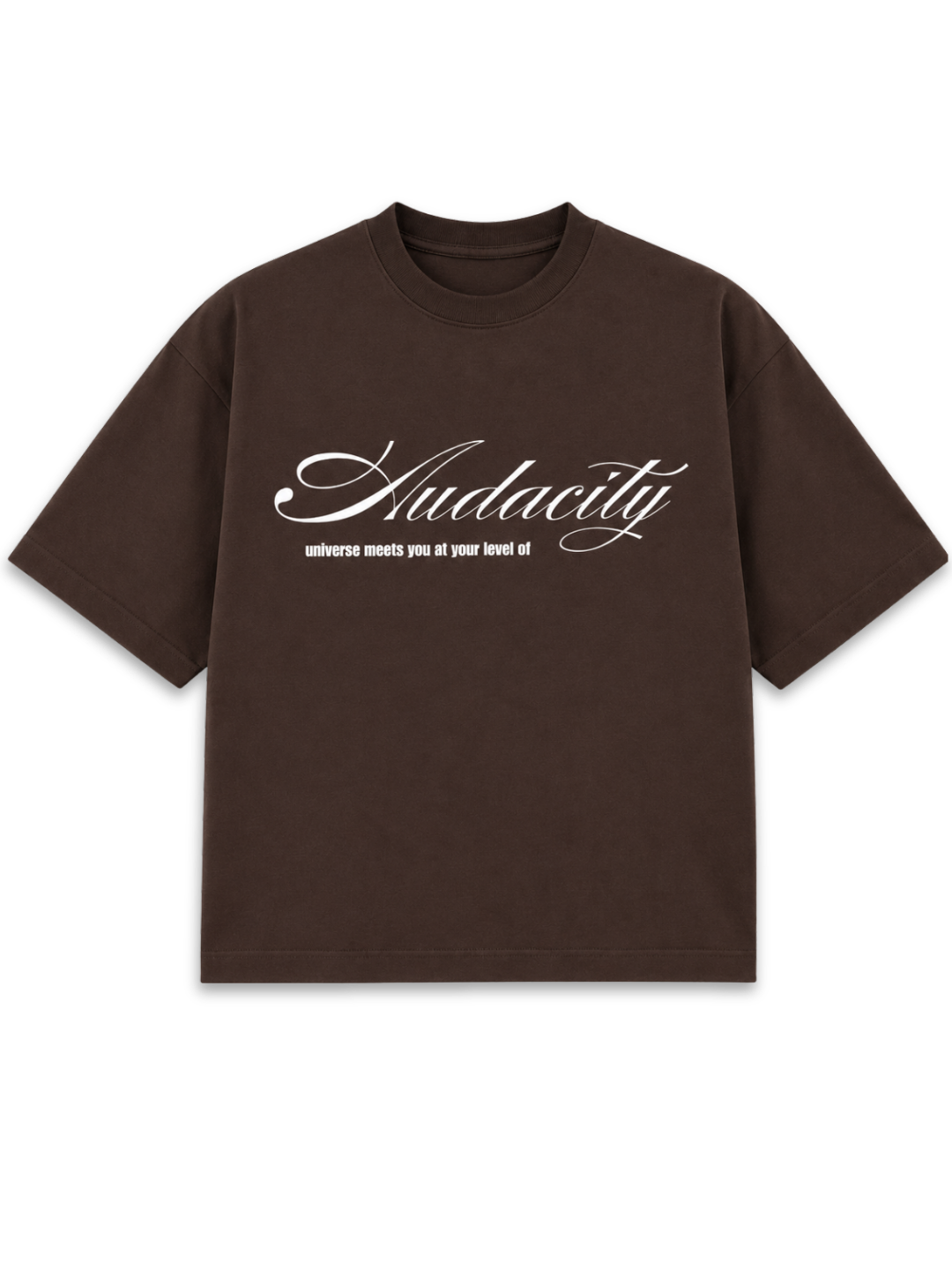 Audacity - Brown Boxy tee