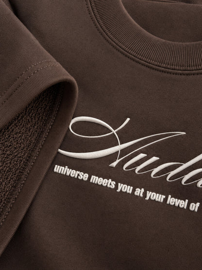 Audacity - Brown Boxy tee