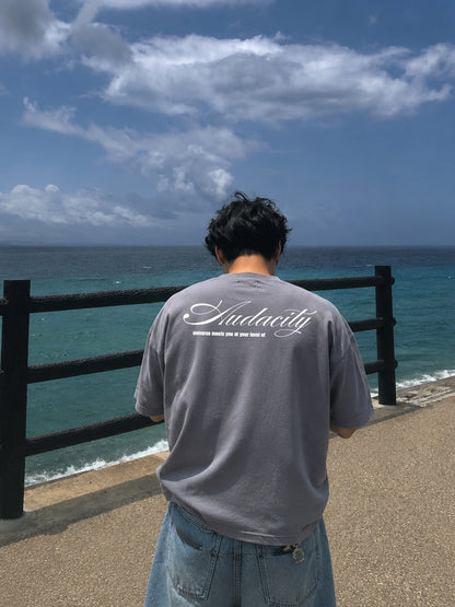 Audacity - Grey Boxy tee