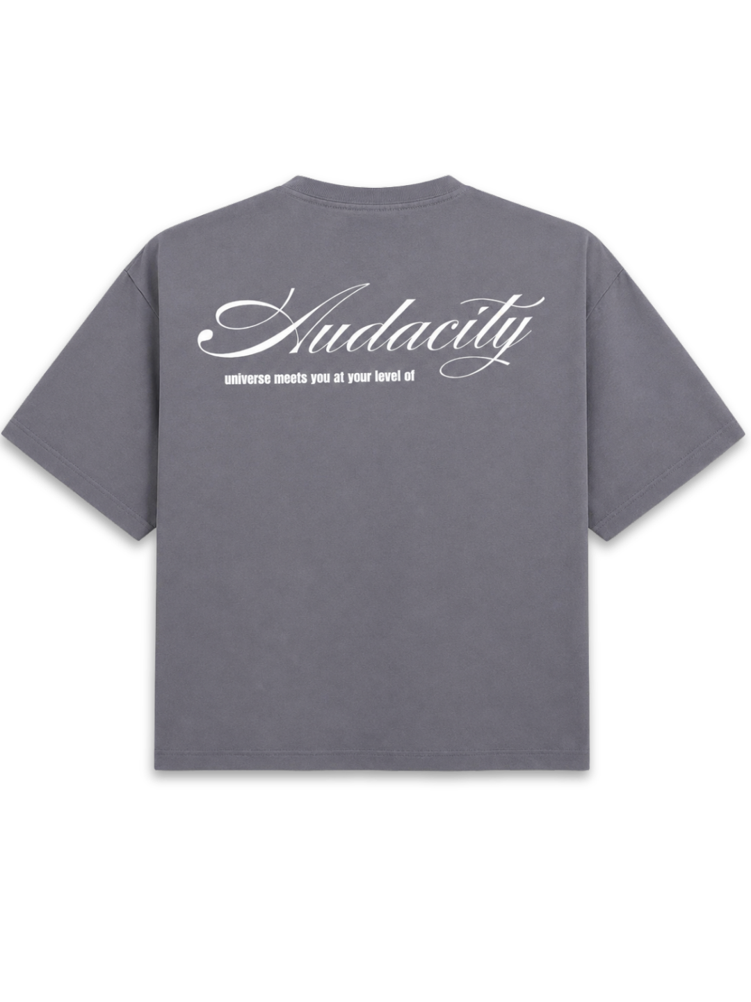 Audacity - Grey Boxy tee