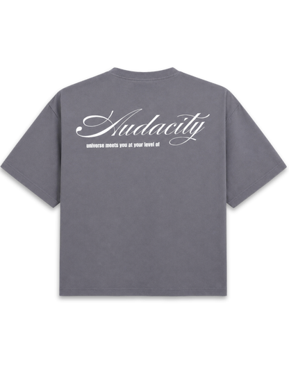 Audacity - Grey Boxy tee