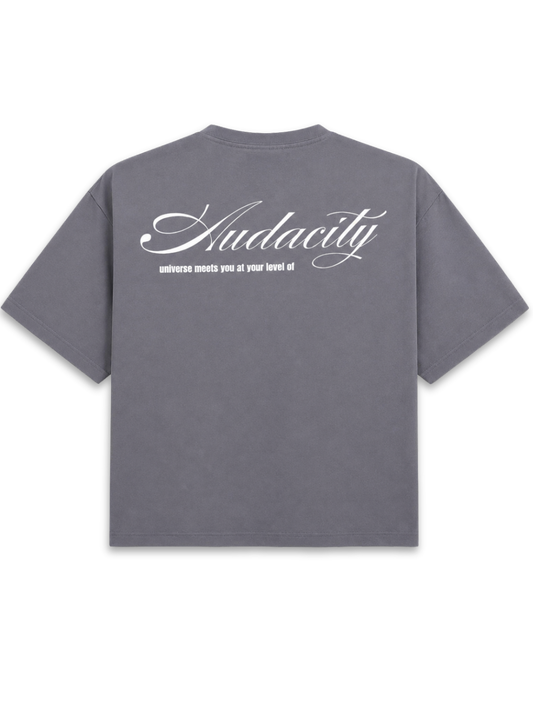 Audacity - Grey Boxy tee
