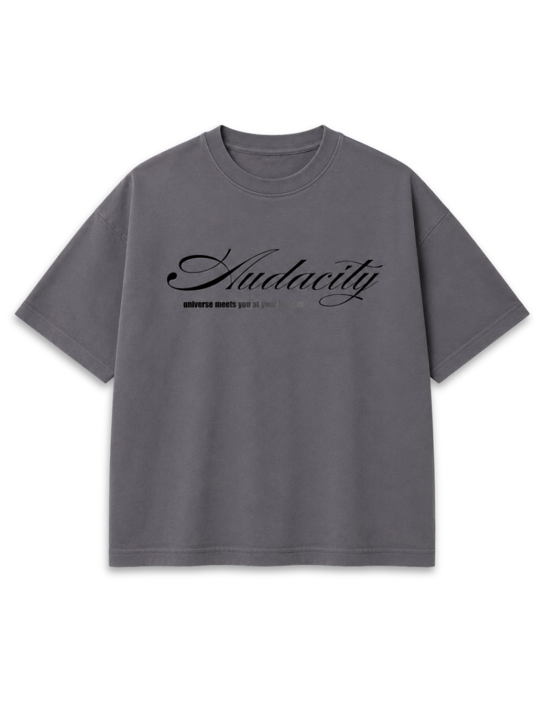 Audacity - Grey Boxy t-shirt